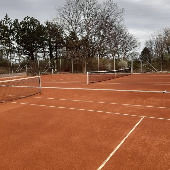 Ein leerer roter Sandtennisplatz mit weißen Linien, einem Netz und einem Metallzaun im Hintergrund. Bäume sind in der Ferne sichtbar.