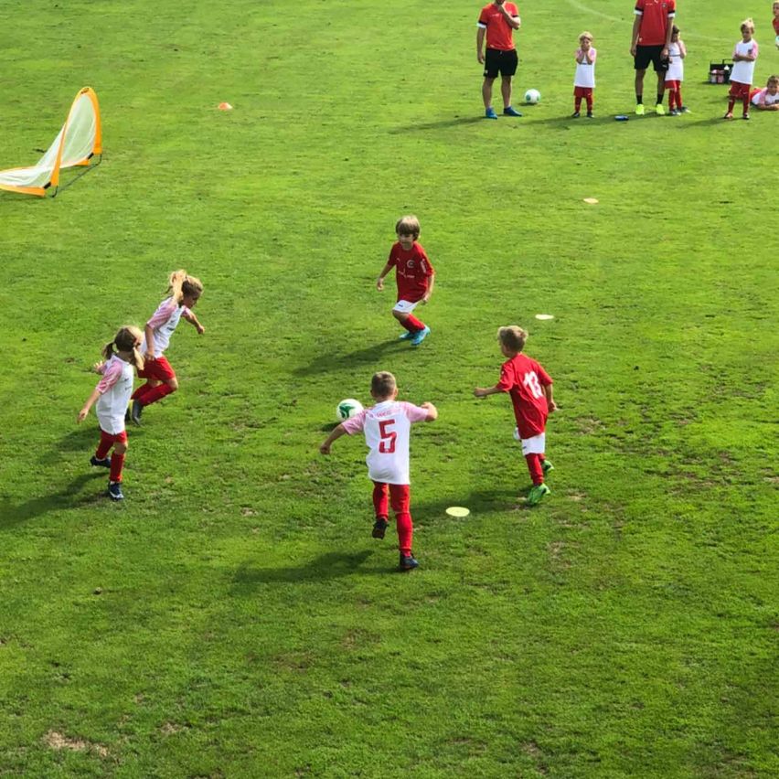 v1_migrated_image_23103949