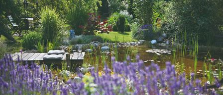 Ein ruhiger Garten mit einem kleinen Teich und Blumen, mit einer Holzterrasse und einem Regenschirm.