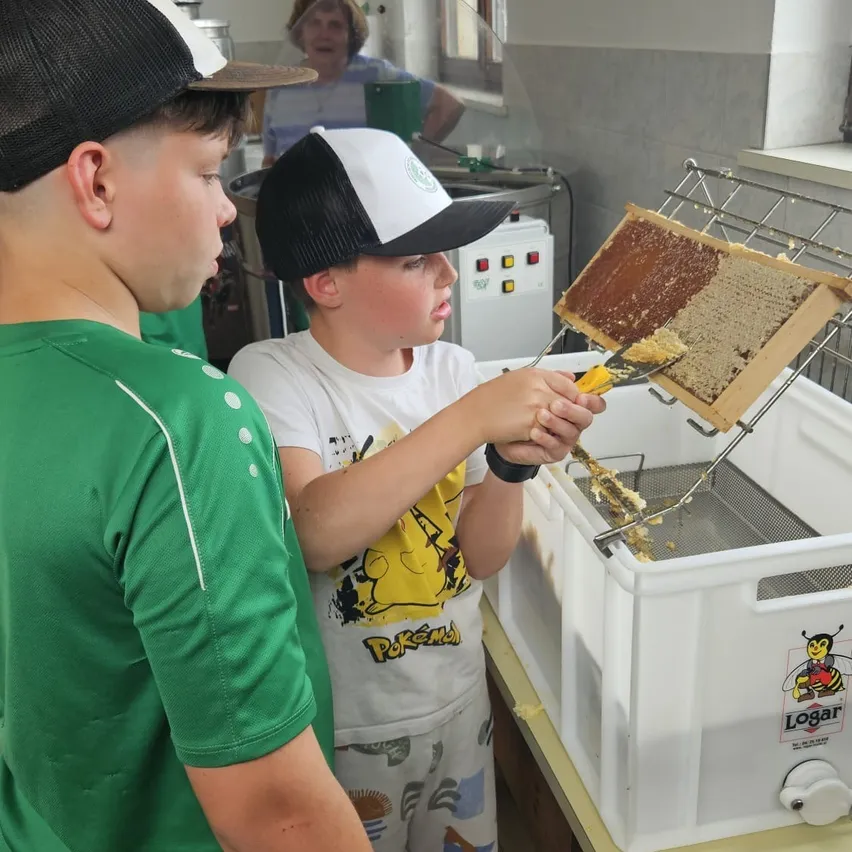 Zwei Jungen arbeiten in einem Raum an einem Bienenstock. Ein Junge hält ein Werkzeug und kratzt das Bienenwaben, während der andere Junge zuschaut.