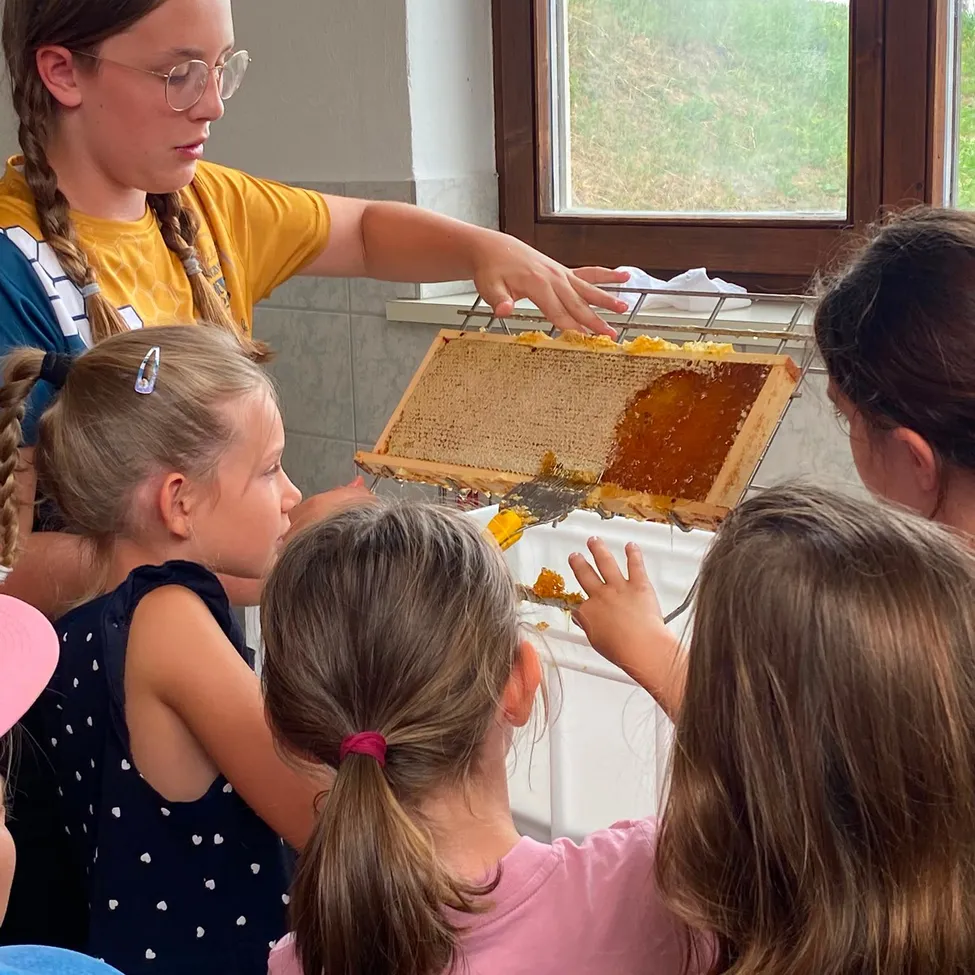 Eine Gruppe junger Mädchen, darunter eine mit Brille, versammelt sich um einen Bienenstockrahmen und beobachtet und lernt über Bienen.