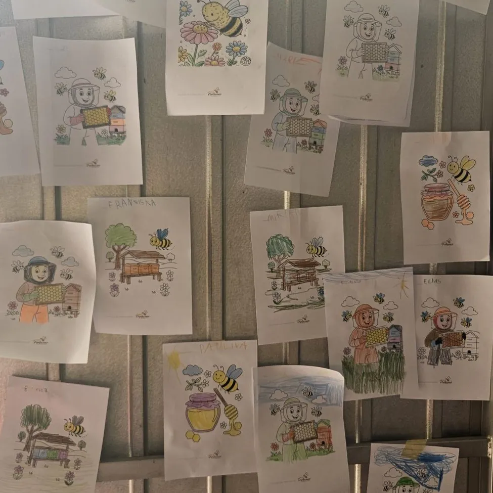 Eine Sammlung von Kinderzeichnungen auf weißem Papier, die Bienen, Imker und Bienenstöcke darstellen, an einer Wand befestigt.