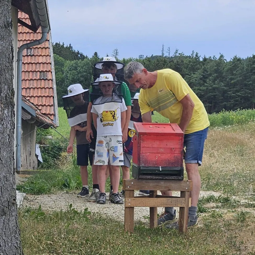Ein Mann in einem gelben T-Shirt unterrichtet Kinder über Imkerei. Die Kinder tragen Schutzschleier und Mützen. Sie stehen um einen roten Bienenstock auf einem Holzständer.