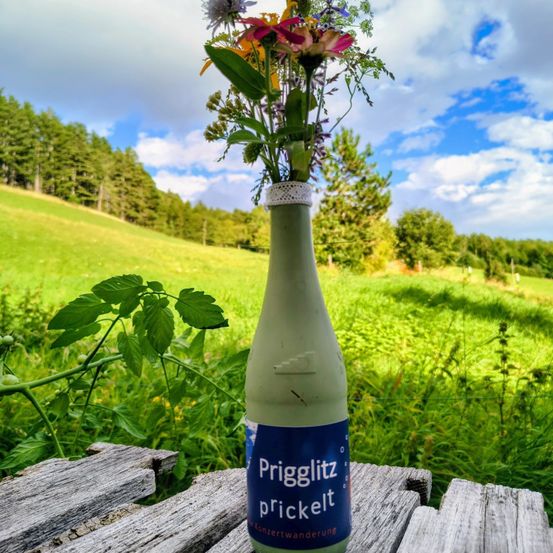 Eine grüne Flasche mit einem Strauß wilder Blumen auf einer Holzbank mit einem Grasfeld im Hintergrund.