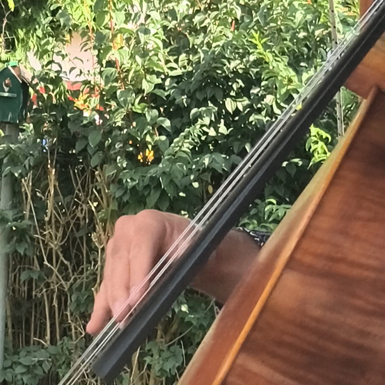 Ein Cello wird in einem Garten gespielt, mit einem Vogelhäuschen an einem Pfahl und Grünpflanzen im Hintergrund.