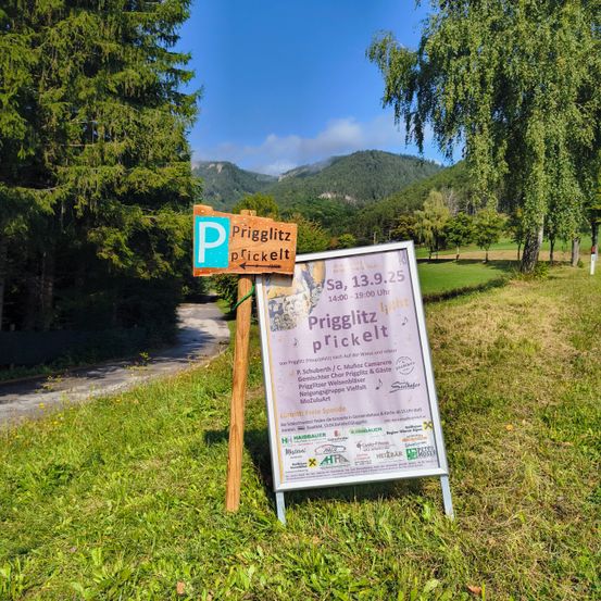 Ein Schild auf dem Grasboden zeigt einen Parkplatz an. Ein größeres Schild daneben zeigt Datum, Uhrzeit und Informationen über eine Veranstaltung. Bäume und Berge sind im Hintergrund.