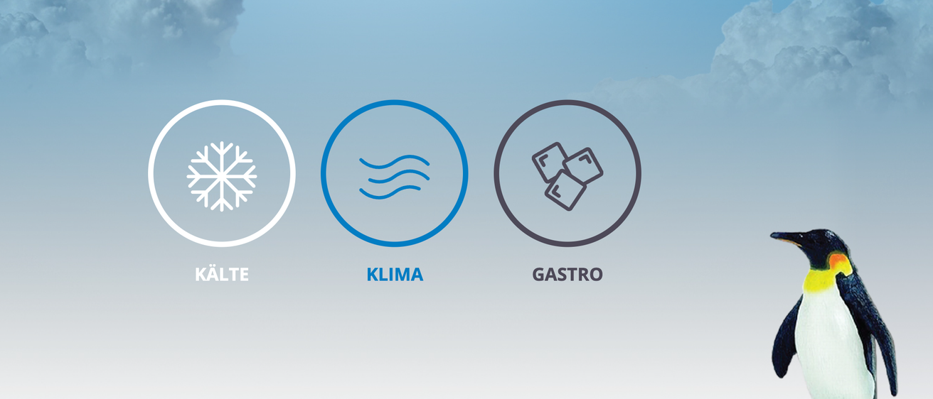 Bild enthält, Animal, Bird, Penguin