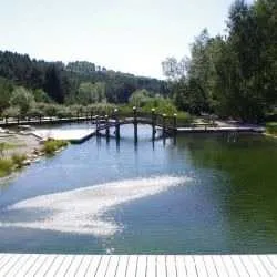 Outdoors, Nature, Pond, Water, Scenery, Canal, Lake, Waterfront, Path, Park