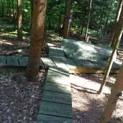 Path, Walkway, Sidewalk, Trail, Vegetation, Land, Woodland, Grove, Park, Flagstone