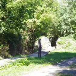 Path, Field, Grassland, Nature, Outdoors, Grove, Vegetation, Woodland, Trail, Park