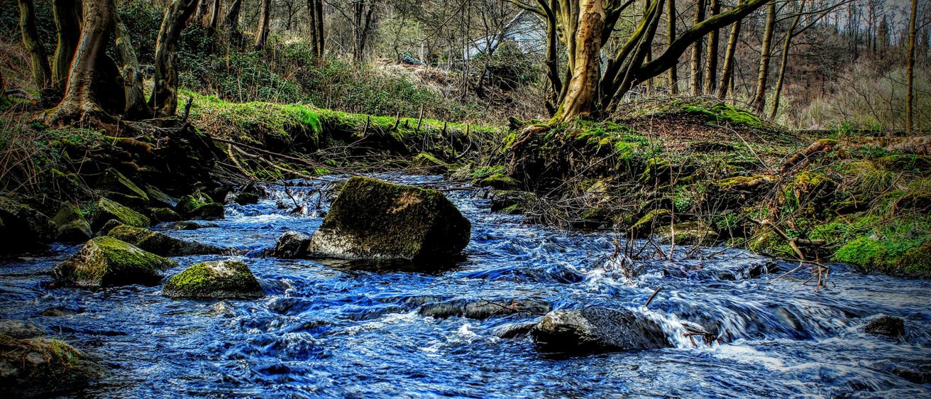 Ein Bach mit klarem blauem Wasser fließt durch ein bewaldetes Gebiet, umgeben von Felsen und Moos. Bäume säumen die Ufer, einige ohne Blätter.