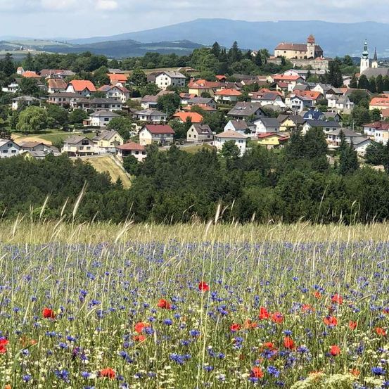 Ein malerisches Dorf mit bunten Häusern liegt eingebettet zwischen üppigen grünen Bäumen und lebhaften Blumen unter einem bewölkten Himmel. In der Ferne sind ein Schloss und ein Kirchturm vor dem Hintergrund von Bergen sichtbar.
