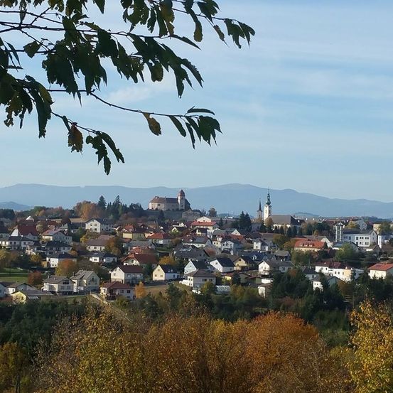 Luftaufnahme einer Stadt mit vielen Häusern, einem Schloss und Bäumen unter einem bewölkten Himmel. Im Hintergrund befinden sich Berge.
