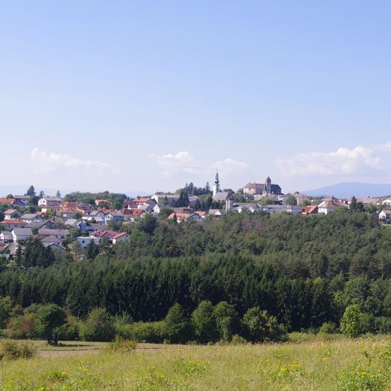 Eine Stadt umgeben von Bäumen und Bergen, mit Häusern und Gebäuden mit roten Dächern unter einem blauen Himmel mit Wolken.