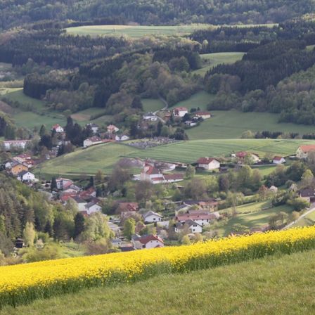 Ein Bergdorf mit vielen Häusern, umgeben von grünen Feldern und Bäumen. Das Dorf liegt in einem Tal mit einem Feld gelber Blumen im Vordergrund.
