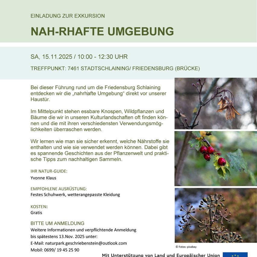 Invitation to the excursion, 'nearby surroundings', on Saturday, November 15, 2025, from 10:00 to 12:30, meeting at 7461 StadtschlaINING/Friedensburg (bridge). Discover nearby surroundings around Friedensburg Schlaining, featuring edible plants and trees, with insights into their historical uses. Nature guide: Yvonne Klaus. Recommended gear: sturdy shoes, weather-appropriate clothing. Cost: free. Registration required by November 13, 2025, via email or phone. Supported by Land and European Union.