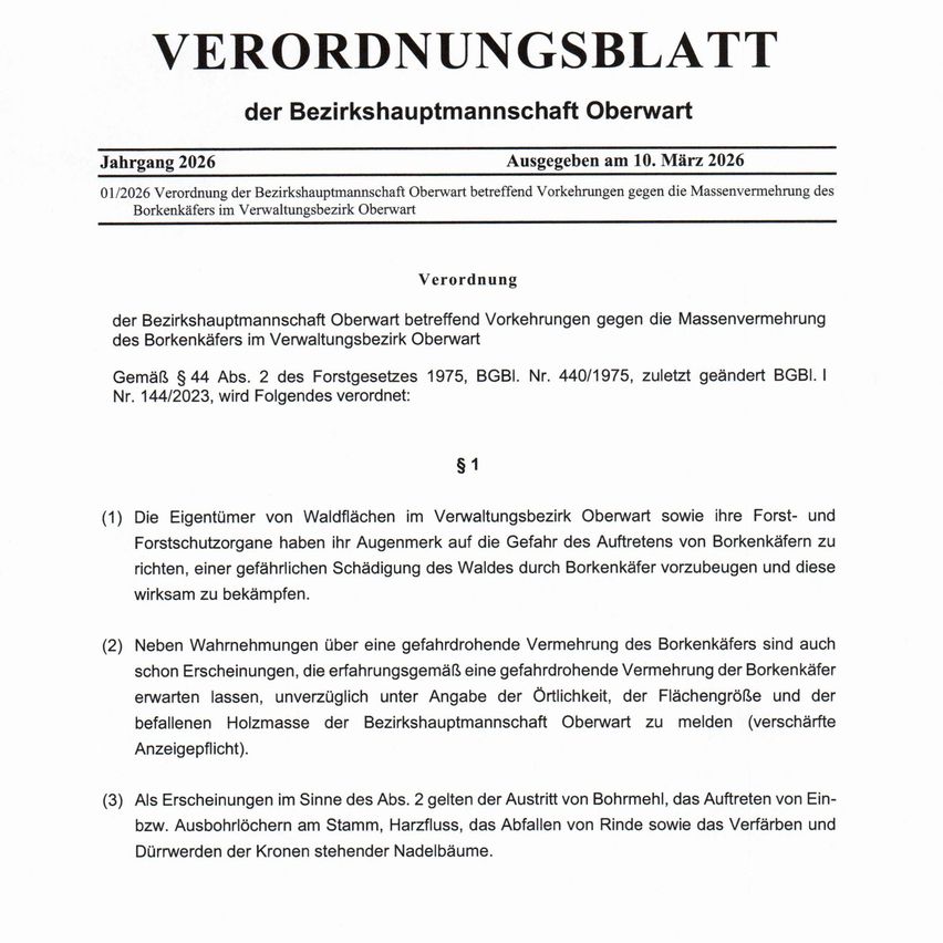 Die Verordnung 2026 der Bezirkshauptmannschaft Oberwart betrifft Maßnahmen gegen die Massenvermehrung des Borkenkäfers im Verwaltungsbezirk Oberwart. Gemäß § 44 Abs. 2 des Forstgesetzes 1975, BGBl. Nr. 440/1975, zuletzt geändert BGBl. I Nr. 144/2023, wird Folgendes verordnet: Die Eigentümer von Waldflächen im Verwaltungsbezirk Oberwart sowie ihre Forst- und Forstschutzorgane haben ihr Augenmerk auf die Gefahr des Auftretens von Borkenkäfern zu richten, um eine gefährliche Schädigung des Waldes durch Borkenkäfer zu verhindern und diese wirksam zu bekämpfen.