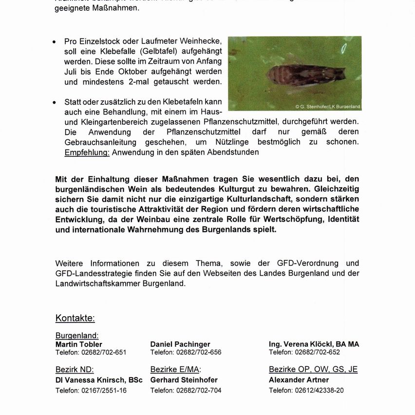 The image shows a document detailing measures against grapevine moth. It includes information on removing glue traps and treating them with plant protection products. The document emphasizes the importance of these actions for preserving local wine culture and economic development.