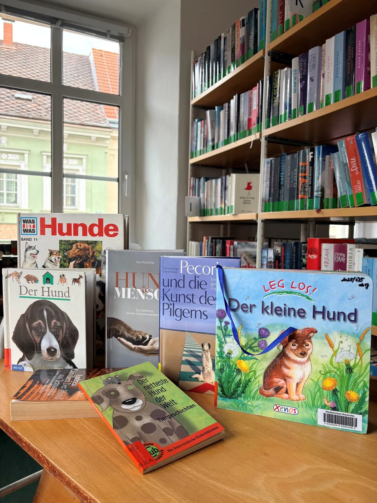 Ein Holztisch mit mehreren hundethematischen Büchern, darunter 'Der Hund', 'Der kleine Hund' und 'Pecor und die Kunst des Pilgens', vor einem mit Büchern gefüllten Bücherregal in einer Bibliothek.