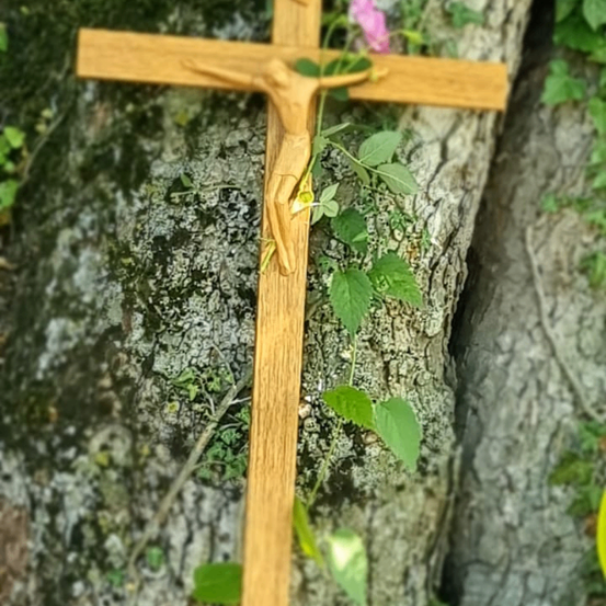 Ein hölzernes Kruzifix mit einer Figur Jesu, befestigt an einem Baumstamm, der mit grünem Laub bedeckt ist.