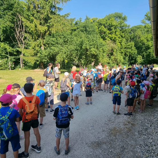 Eine Gruppe von Kindern mit Rucksäcken steht in einer Reihe auf einem Kiesweg. Sie scheinen auf Anweisungen zu warten, mit Bäumen und Gras im Hintergrund.