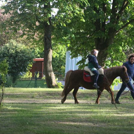 Ein Mädchen reitet einen kleinen braunen Hengst an einem sonnigen Tag. Eine erwachsene Frau hält die Führleine hinter dem Pferd. Sie sind auf einem Hof mit grünem Rasen.