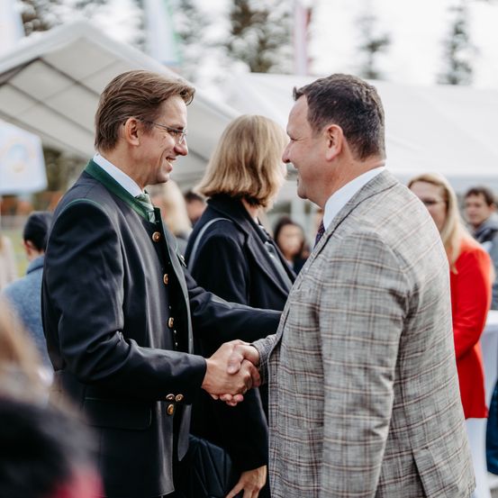 Hand, Person, Adult, Male, Man, Female, Woman, Suit, Holding Hands, Face