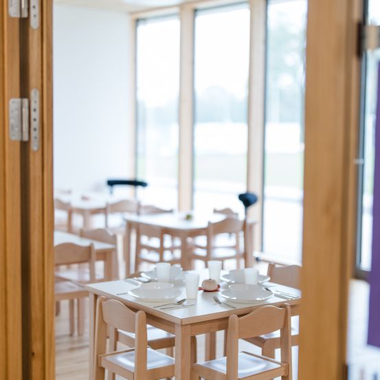 Wood, Restaurant, Cafeteria, Interior Design, Plywood, Dining Table, Dining Room, Floor, Flooring, Hardwood