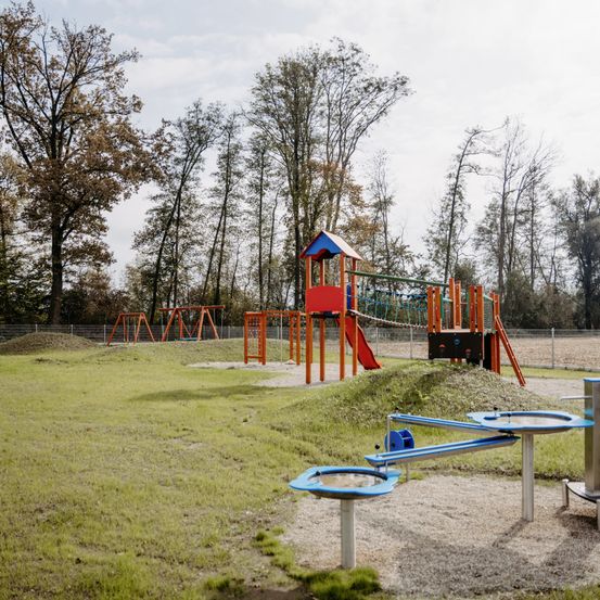Outdoor Play Area, Outdoors, Play Area, Grass, Plant