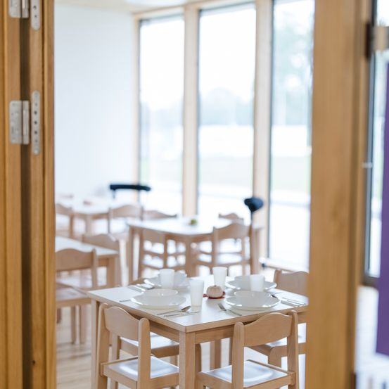 Wood, Restaurant, Cafeteria, Interior Design, Dining Table, Table, Plywood, Dining Room, Flooring, Cafe