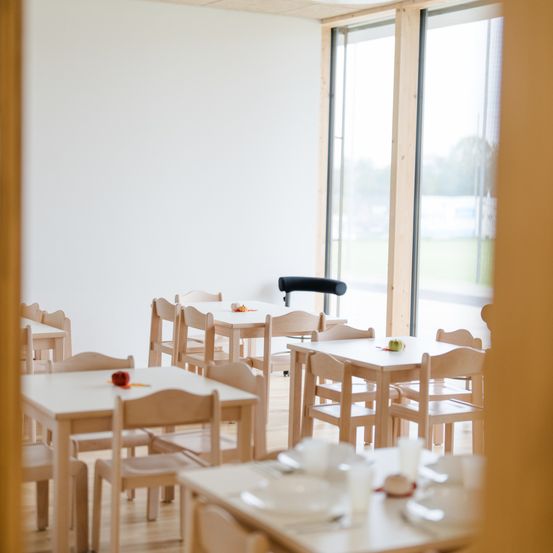 Indoors, Restaurant, Cafeteria, Plywood, Wood, Cafe, Dining Table, Table, Dining Room, Interior Design