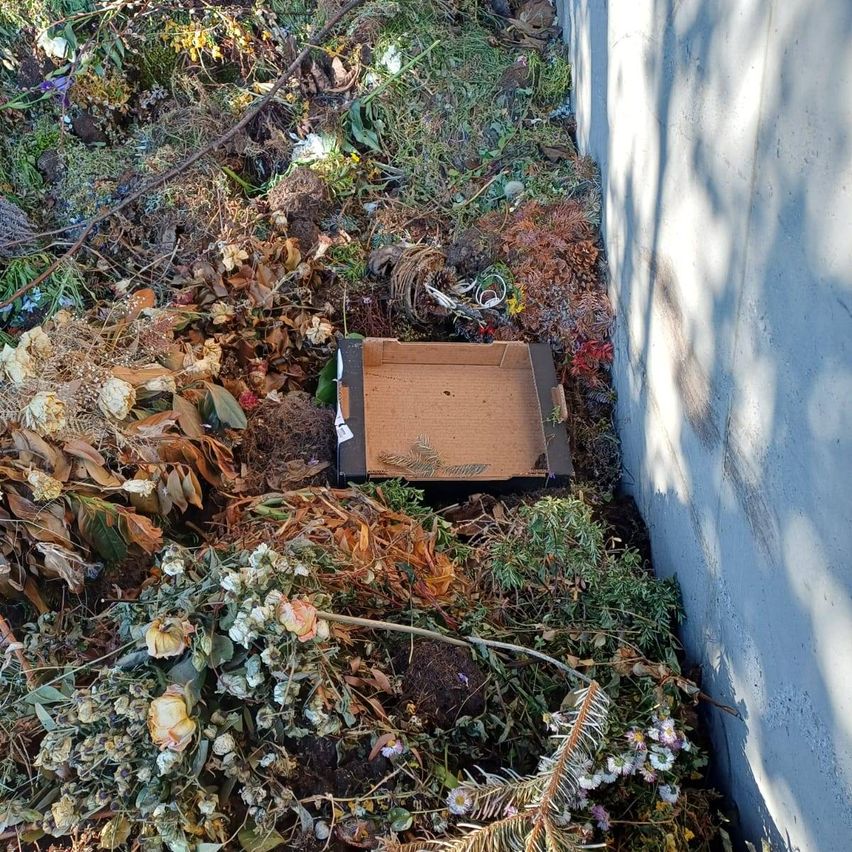 Ein Haufen kompostierbarer Materialien, darunter getrocknete Blätter, Blumen und ein Karton, liegt an einer Betonwand im Sonnenlicht.