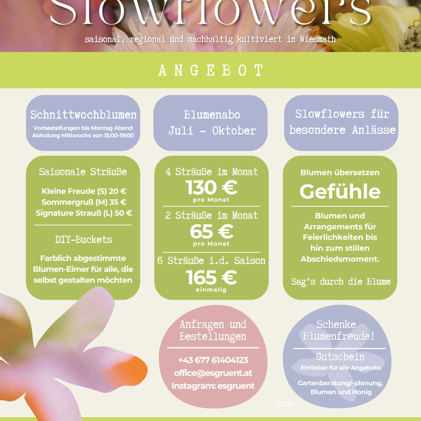 Slowflower's bietet saisonale, regionale und nachhaltige Blumen. Monatliche Lieferungen verfügbar. Monatssträuße kosten 20€ bis 50€. DIY-Sträuße ebenfalls verfügbar. Geschenkgutscheine für alle Angebote. Kontakt: office@esgruent.at, Instagram: esgruent.