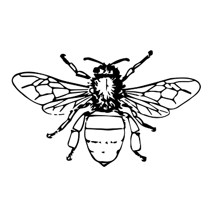 Bild enthält, Animal, Bee, Insect, Invertebrate, Wasp, Honey Bee, Face, Head, Person