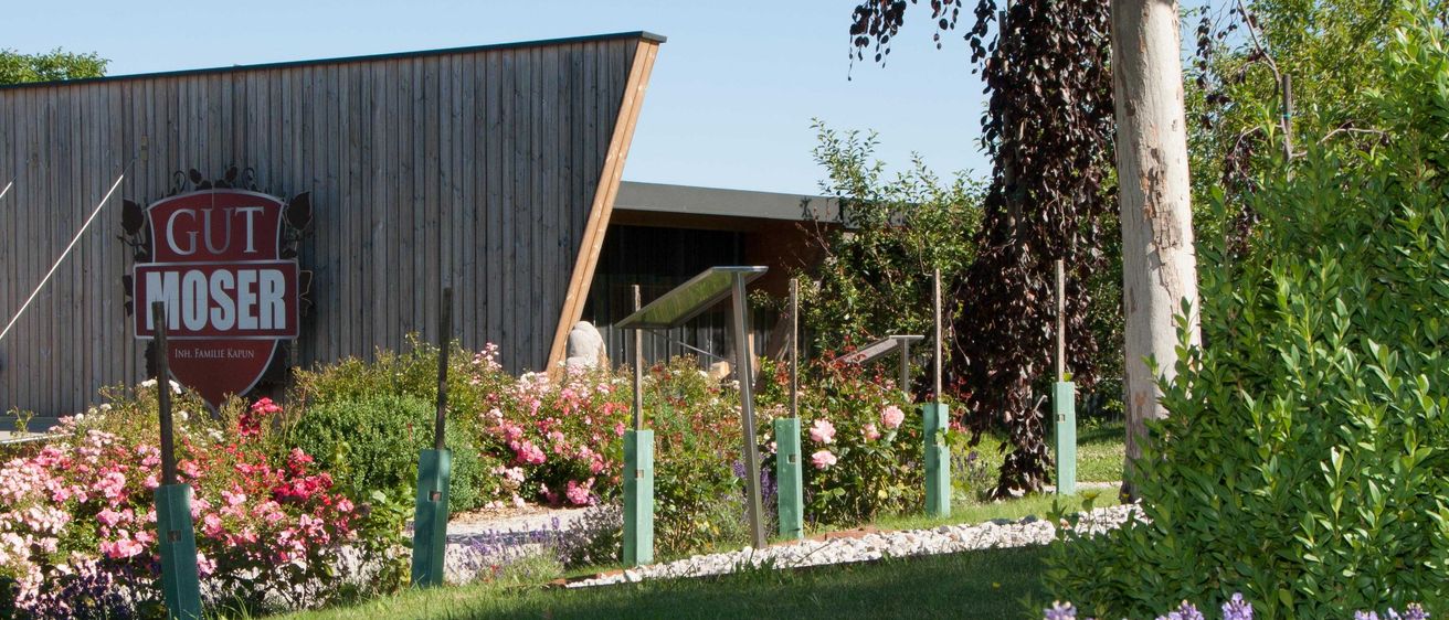 85dec0f4813b7b19c32a2aafe7a8849f