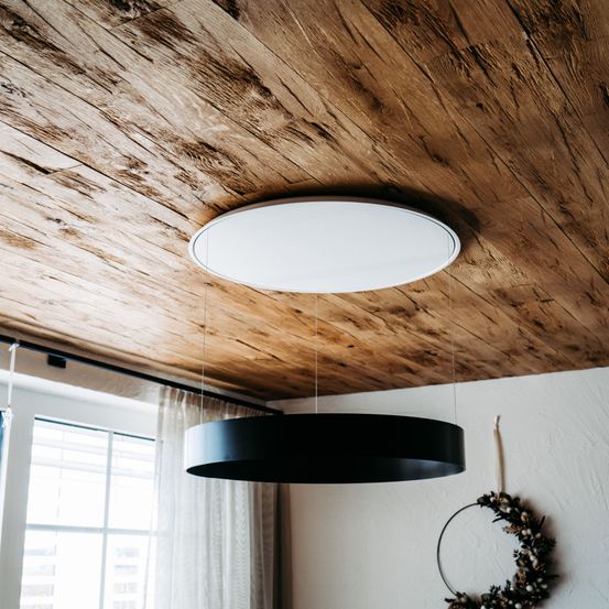 Bild enthält, Indoors, Interior Design, Wood, Hardwood, Stained Wood, Wood Panels, Plant