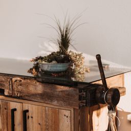 Bild enthält, Flower, Flower Arrangement, Plant, Wood, Flower Bouquet, Potted Plant, Hardwood, Furniture