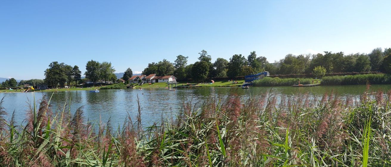 Bild enthält, Nature, Outdoors, Scenery, Landscape, Pond, Water, Vegetation, Lake, Grass, Lakefront