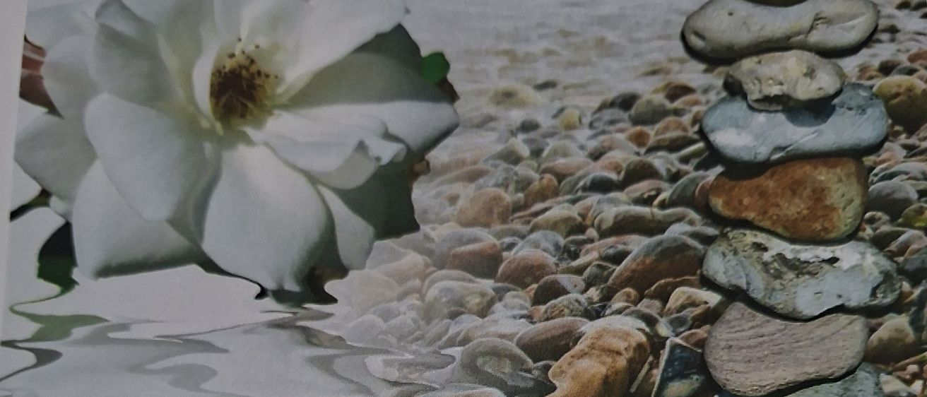 Eine ruhige Szene mit einer weißen Blume, die auf dem Wasser schwimmt, und im Hintergrund Felsen und Kieselsteine.