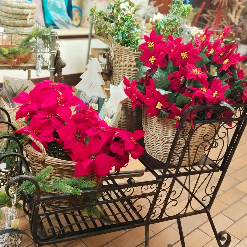 Ein schwarzer dekorativer Schlitten mit zwei Weidenkörben, die rote Weihnachtssterne halten, steht auf einem gefliesten Boden, umgeben von verschiedenen Pflanzen und festlichen Dekorationen.