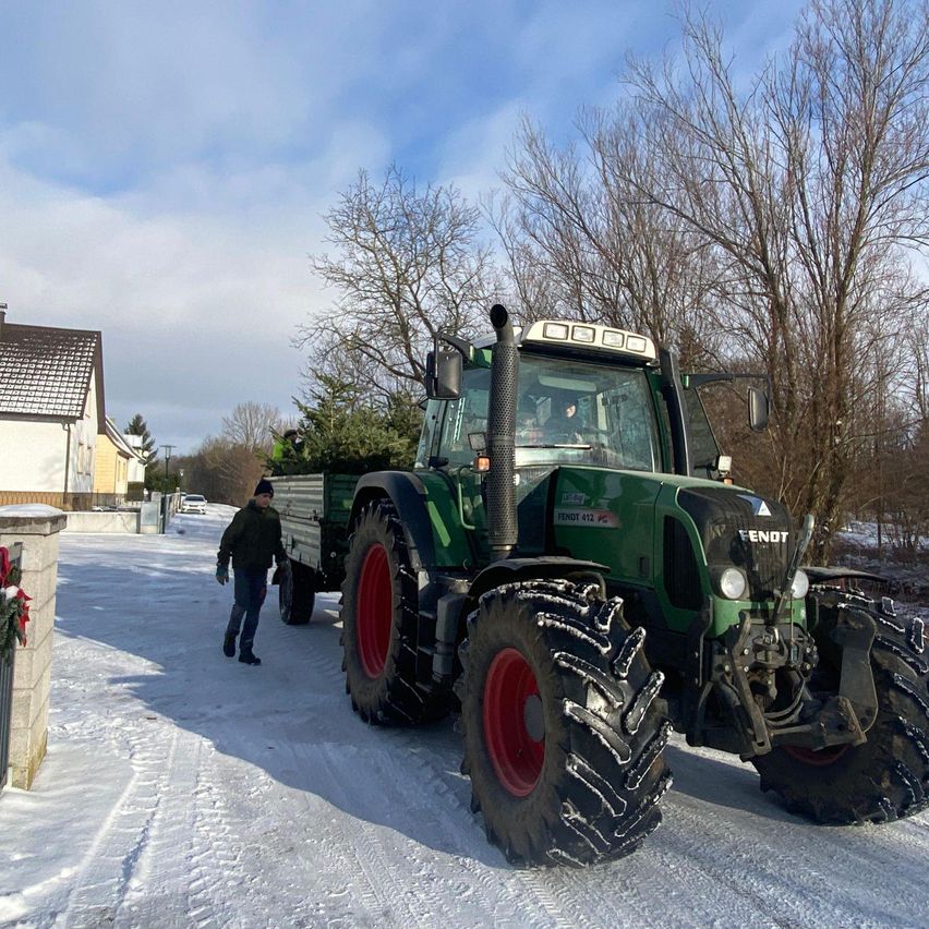 Ein grüner Traktor mit einem Anhänger, auf dem ein Weihnachtsbaum geladen ist, steht auf einer verschneiten Straße. Eine Person geht neben ihm.