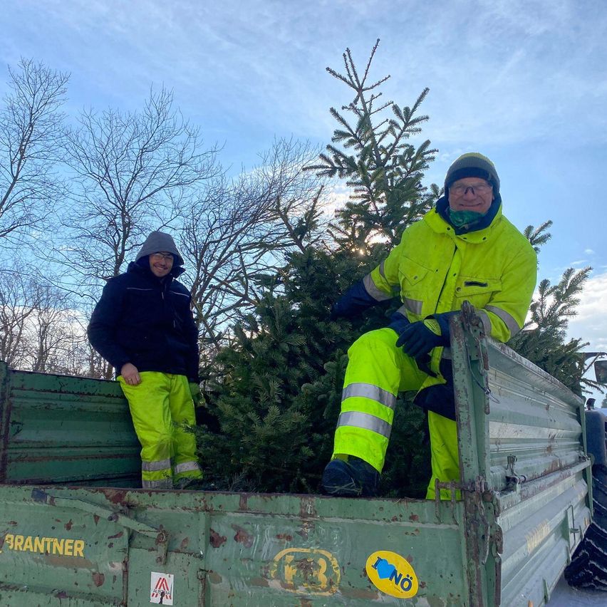 Zwei Personen stehen in einem LKW-Bett und tragen neonfarbene Sicherheitsanzüge, wobei einer der Männer eine Tanne hält. Der LKW trägt das Wort Brantner auf der Rückseite.