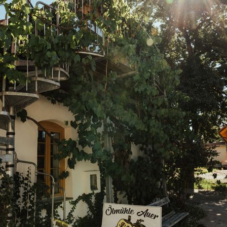 Bild enthält, Outdoors, Shelter, Vegetation, City, Urban, Tree, Nature, Street, Rainforest, Potted Plant