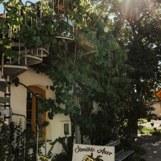 Bild enthält, Outdoors, Shelter, Vegetation, City, Urban, Tree, Nature, Street, Rainforest, Potted Plant