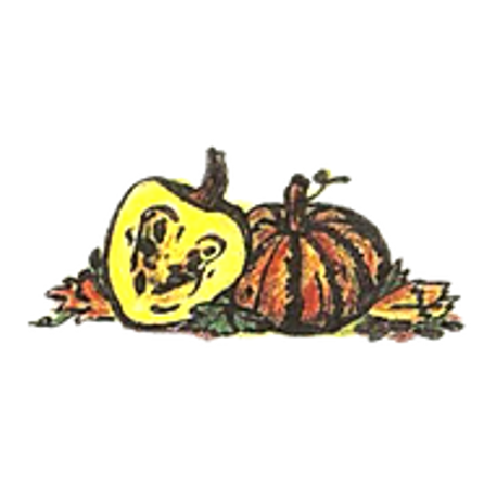 Bildschirmfoto2023-11-13um10.10.59