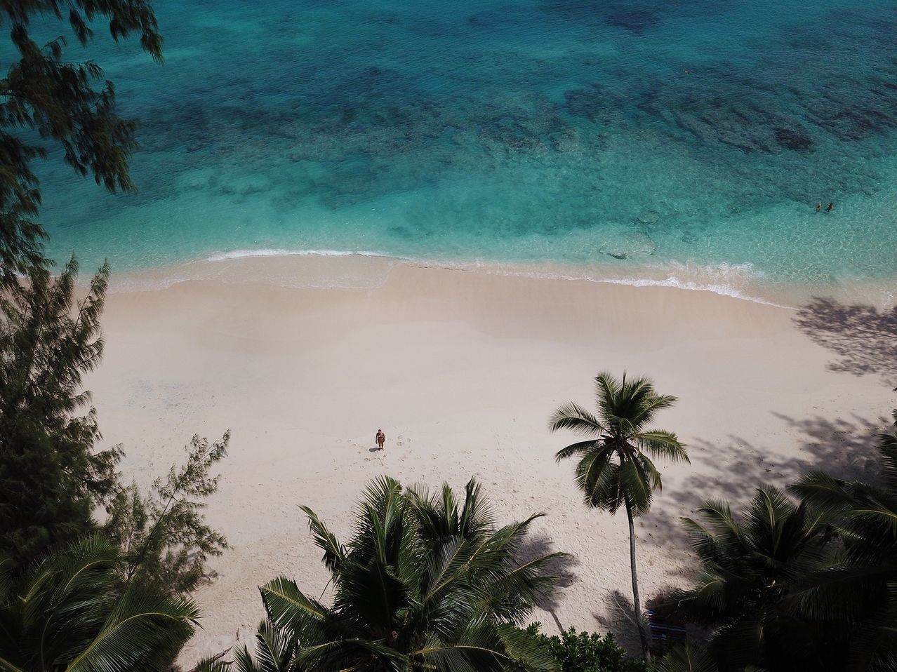 Eine Luftaufnahme eines ruhigen Strandes mit klarem blauem Wasser und weißem Sand, einer alleinstehenden Person, die geht, und tropischen Bäumen.