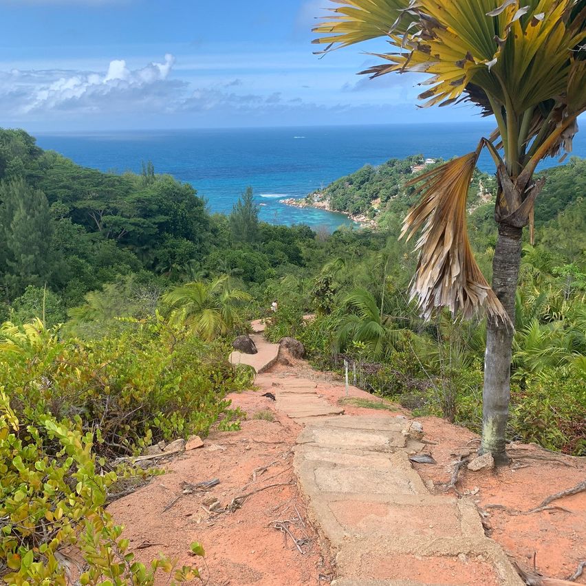 Ein Steinpfad führt zu einem Hügelkamm mit Blick auf einen blauen Ozean und felsige Klippen. Die Aussicht wird von üppiger Vegetation und einer Palme eingerahmt.