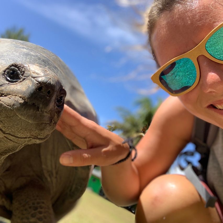 Eine junge Frau mit Sonnenbrille streichelt einen Landschildkröte im Zoo. Die Schildkröte hat einen großen Kopf und eine strukturierte Schale.