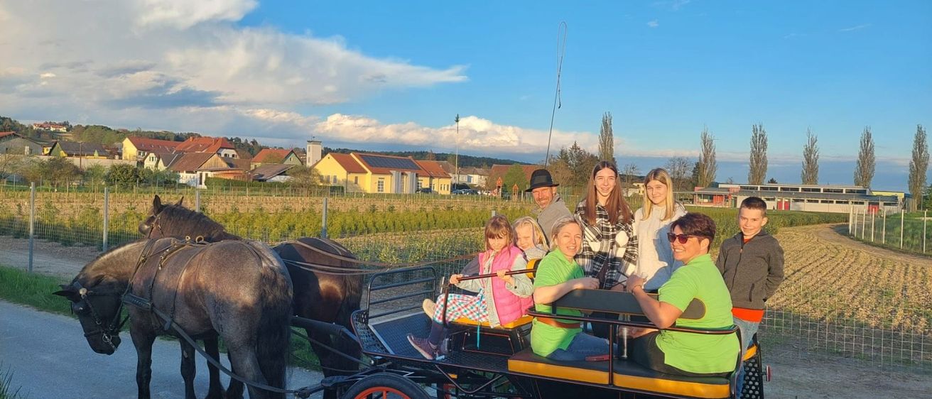 v1_migrated_image_12169605