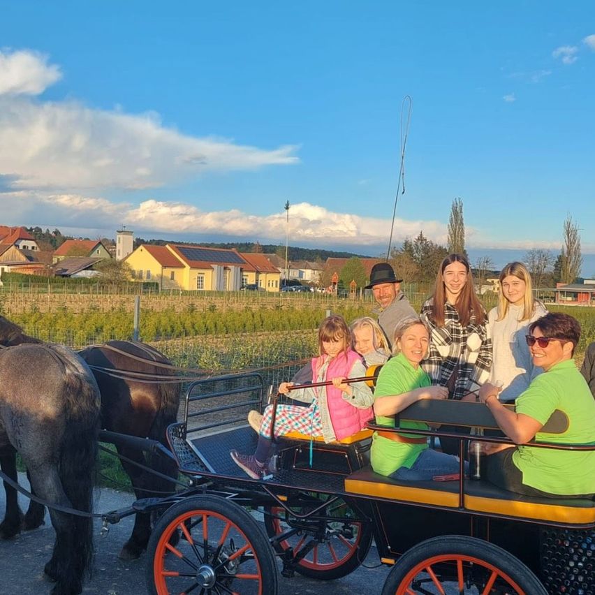 v1_migrated_image_12169605